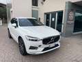 Volvo XC60 B4 Weiß - thumbnail 1