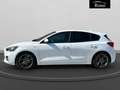 Ford Focus 1.5 ecoblue ST-Line s&s 120cv Bianco - thumbnail 6
