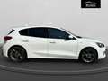 Ford Focus 1.5 ecoblue ST-Line s&s 120cv Bianco - thumbnail 5