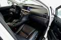 Lexus RX 450h 25 Aniversario Blanco - thumbnail 14