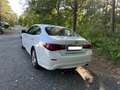 Infiniti Q70 Q70 2.2d Premium Executive Weiß - thumbnail 5