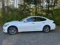 Infiniti Q70 Q70 2.2d Premium Executive Weiß - thumbnail 1