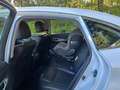 Infiniti Q70 Q70 2.2d Premium Executive Weiß - thumbnail 17