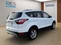 Ford Kuga 1.5 EcoBoost Trend KlimaA*Navi*2xKlima*Kam. White - thumbnail 4
