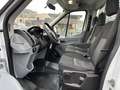 Ford Transit Pritsche 2,0 TDCi L2H1 310 Ambiente Weiß - thumbnail 8