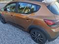 Dacia Sandero Sandero Stepway 1.0 tce Comfort SL Eco-g 100cv Bronce - thumbnail 17