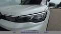 Volkswagen Tiguan Sport 2.0 TDI 4MOTION Weiß - thumbnail 4