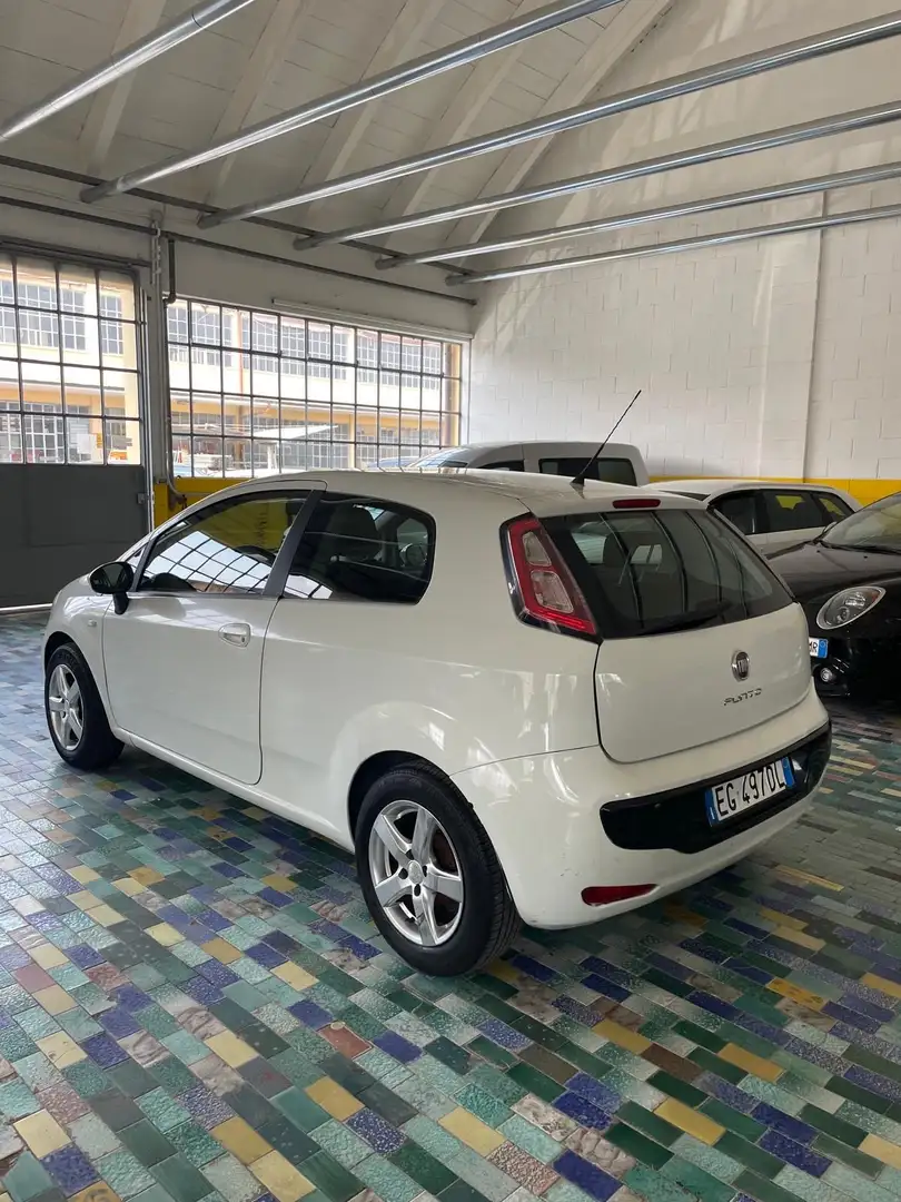 Fiat Punto Evo 3p 1.2 easypower Active Gpl GARANZIA 12 mesi - 2