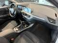 BMW 118 i Advantage DAB LED WLAN Pano.Dach Tempomat White - thumbnail 19