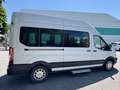 Ford Transit Variobus 2,0 TDCI L2H2 330 Ambiente Weiß - thumbnail 7