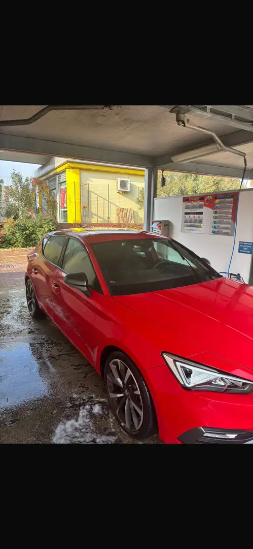 SEAT Leon 1.5 etsi FR 150cv dsg Rot - 2
