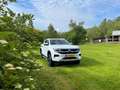 Volkswagen Amarok DC Aventura 4x4 177kw Blanco - thumbnail 8