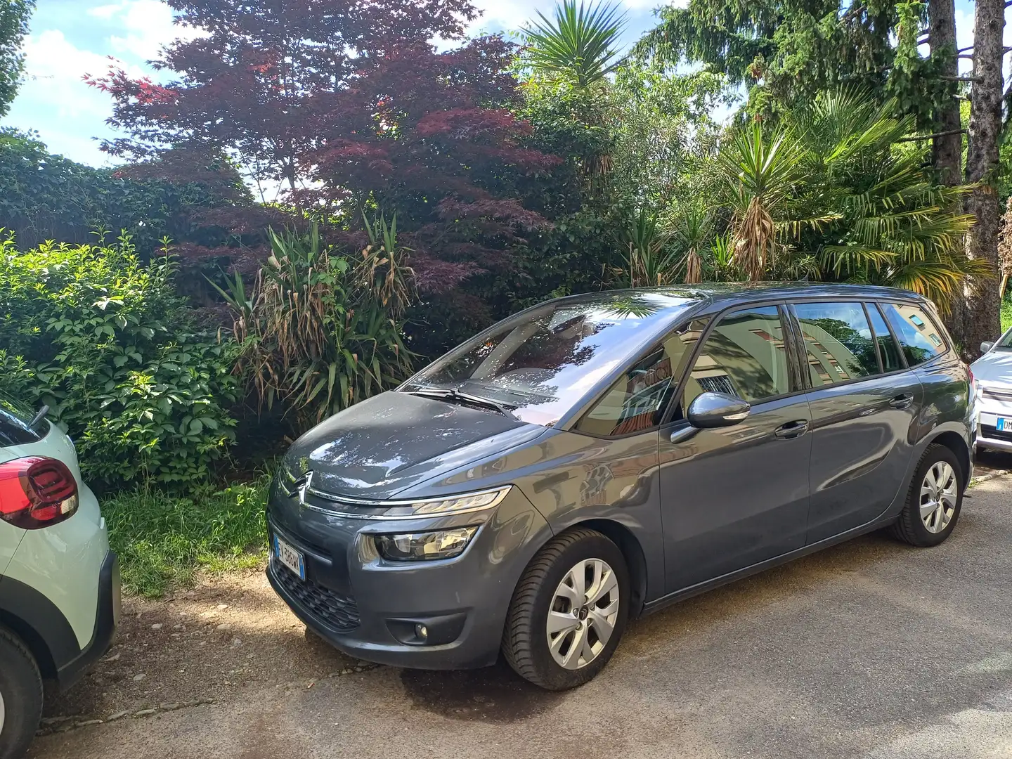 Citroen Grand C4 Picasso C4 Grand Picasso II 20131.6 e-hdi Business 115cv Grigio - 1