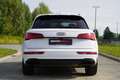 Audi Q5 50 TFSIe | PHEV | QUATTRO | S-LINE | PANO Wit - thumbnail 13