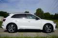Audi Q5 50 TFSIe | PHEV | QUATTRO | S-LINE | PANO Wit - thumbnail 17
