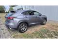 Lexus NX 300h 58000KM ! Grijs - thumbnail 3