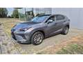 Lexus NX 300h 58000KM ! Grijs - thumbnail 10