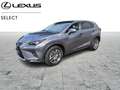 Lexus NX 300h 58000KM ! Grijs - thumbnail 1