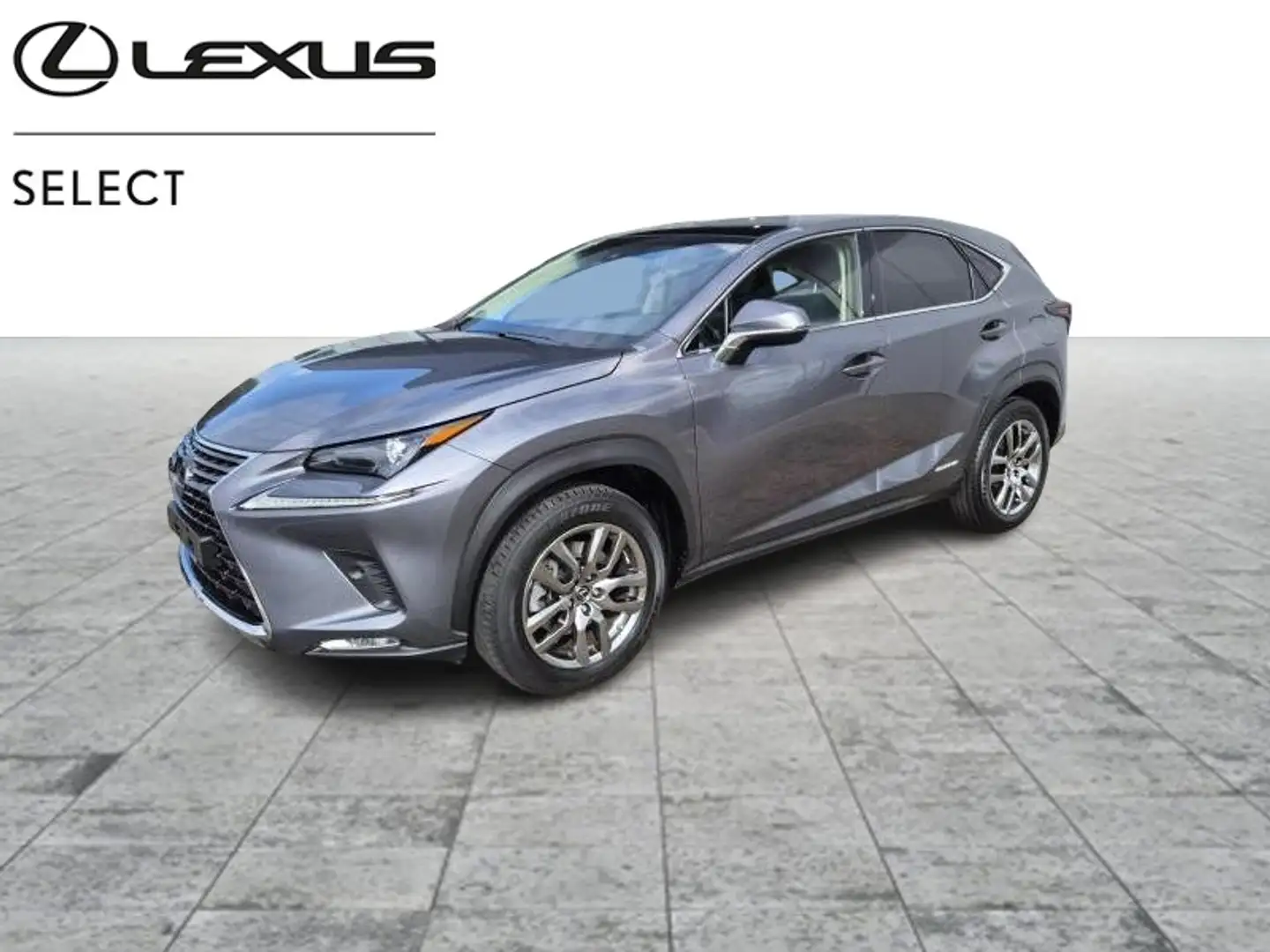 Lexus NX 300h 58000KM ! Grigio - 1