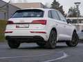 Audi Q5 50 TFSI e quattro S line Black Matrix Weiß - thumbnail 2