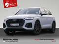 Audi Q5 50 TFSI e quattro S line Black Matrix Weiß - thumbnail 1