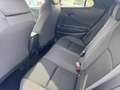 Toyota C-HR 1.8 hev Trend fwd e-cvt Bianco - thumbnail 11