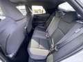 Toyota C-HR 1.8 hev Trend fwd e-cvt Bianco - thumbnail 14