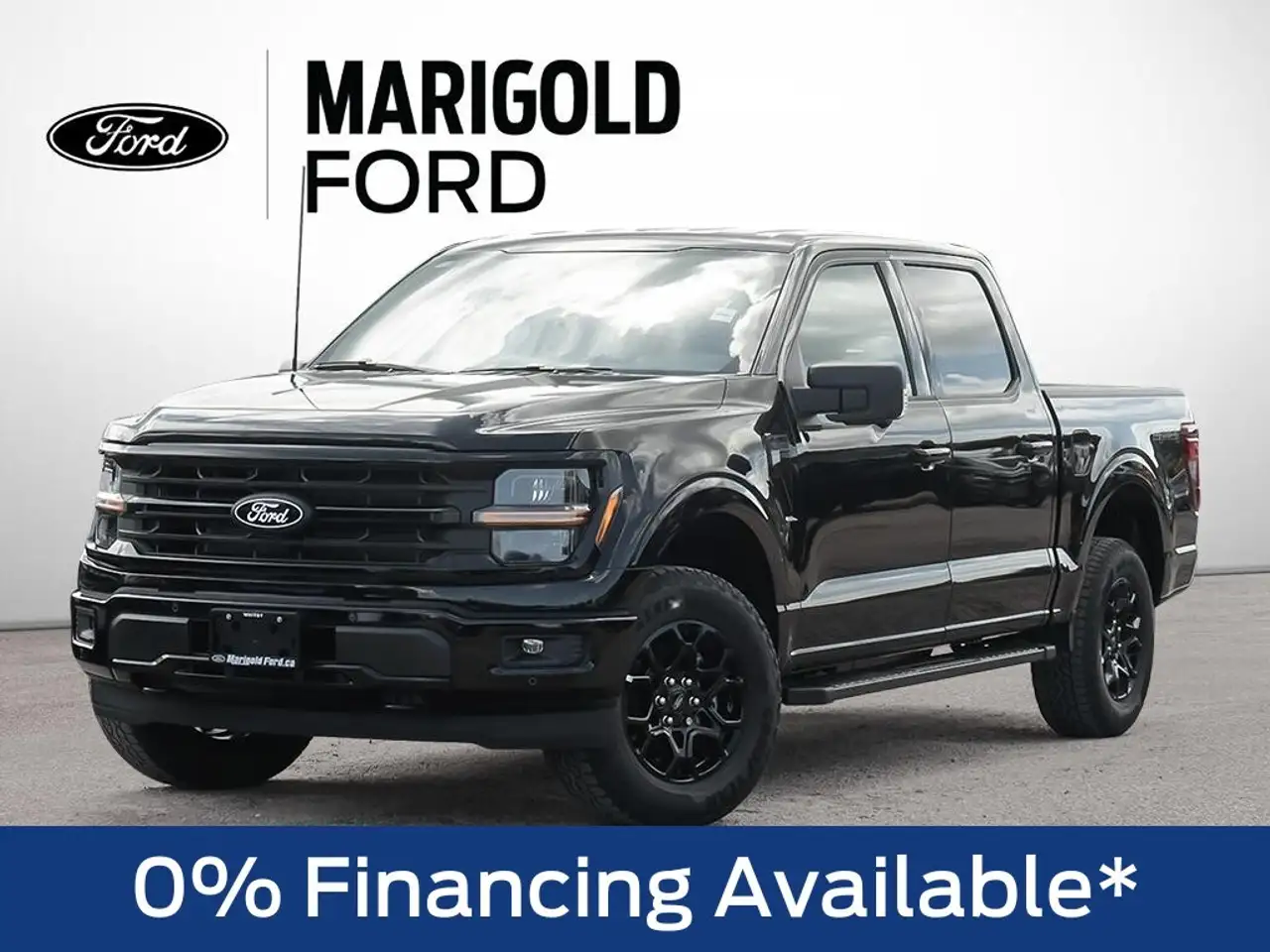Ford F 150 photo Ford F 150