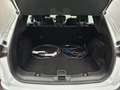 Ford Kuga Plug-In Hybrid Titanium | Apple | Android Blanc - thumbnail 15