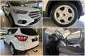 Ford Kuga Trend 1.HAND*WINTERPAKET*DESIGN-PAKET Wit - thumbnail 8