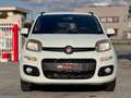 Fiat Panda 0.9 TwinAir Turbo AUTOMATICA Lounge Bianco - thumbnail 2