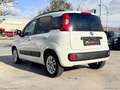 Fiat Panda 0.9 TwinAir Turbo AUTOMATICA Lounge Bianco - thumbnail 4