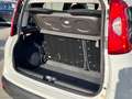 Fiat Panda 0.9 TwinAir Turbo AUTOMATICA Lounge Bianco - thumbnail 7