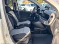 Fiat Panda 0.9 TwinAir Turbo AUTOMATICA Lounge Bianco - thumbnail 13