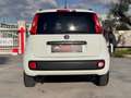 Fiat Panda 0.9 TwinAir Turbo AUTOMATICA Lounge Bianco - thumbnail 5