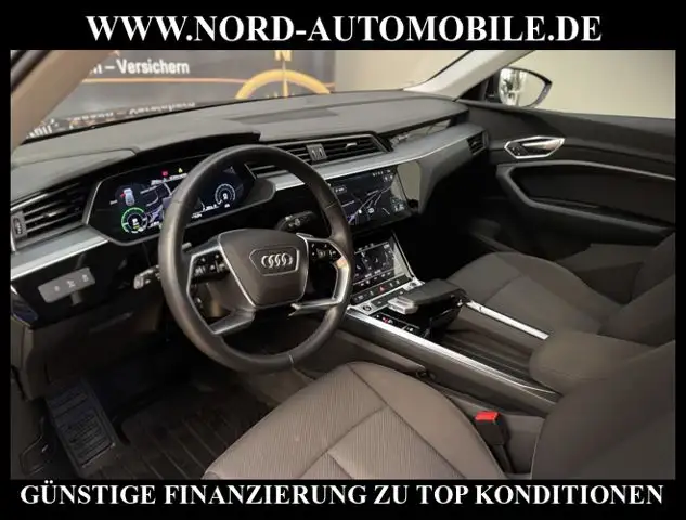 Audi E-Tron view 15