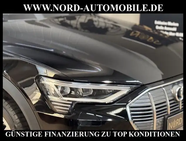 Audi E-Tron view 13
