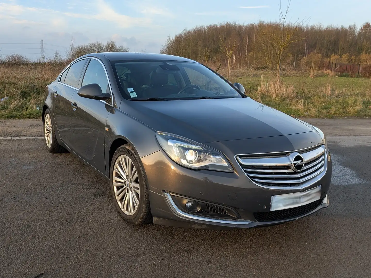 Opel Insignia Insignia 2.0 CDTI ecoFlex Start/Stop 140 ch Cosmo Gris - 1