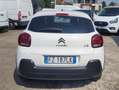 Citroen C3 BlueHDi 100 S&S Business Combi N1 Autocarro 4p. Bianco - thumbnail 6