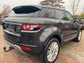 Land Rover Range Rover Evoque Pure-Leder-AHK-NAV-TEMPOMAT Braun - thumbnail 15