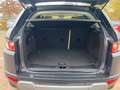 Land Rover Range Rover Evoque Pure-Leder-AHK-NAV-TEMPOMAT Braun - thumbnail 13