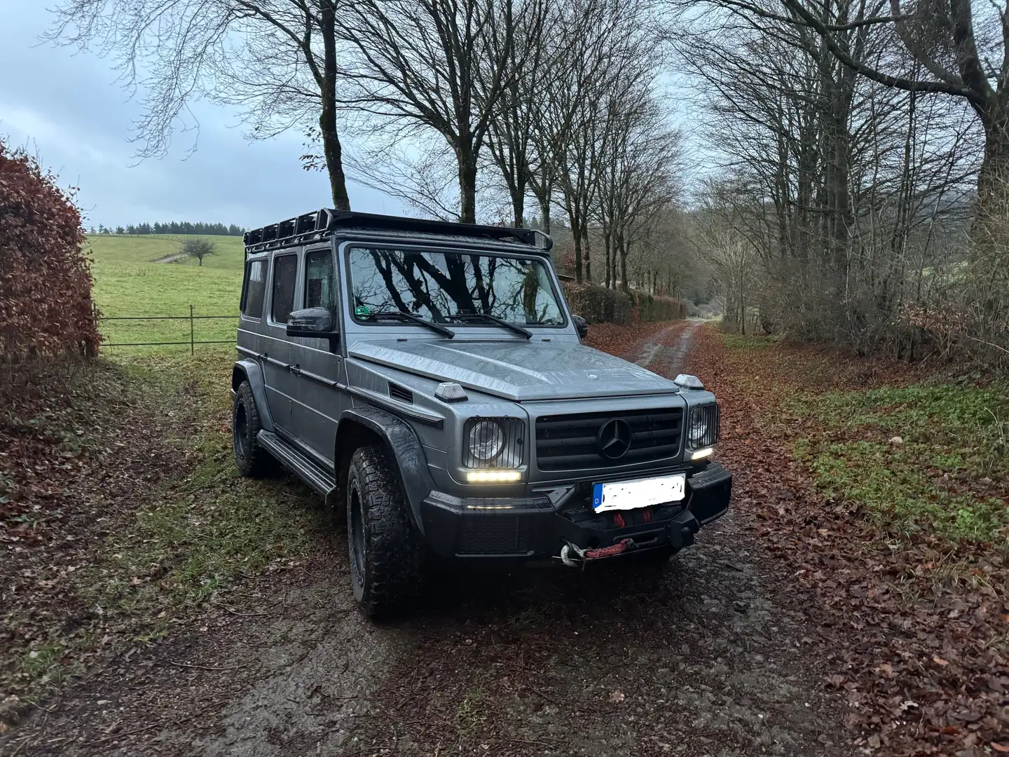 Mercedes-Benz G 350 G 350 d 7G-Professional Look/ Überholt! Gri - 2