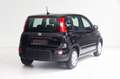 Fiat Panda 4x2 FireFly Hybrid 70 Pandina Schwarz - thumbnail 2