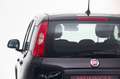 Fiat Panda 4x2 FireFly Hybrid 70 Pandina Schwarz - thumbnail 3