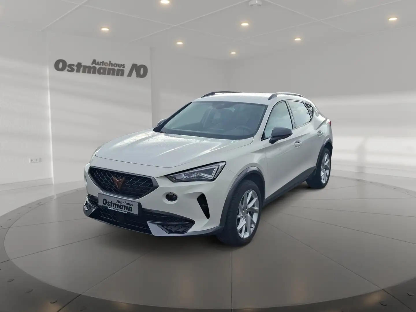 CUPRA Formentor 2.0 TDI AHK ACC LED Weiß - 1