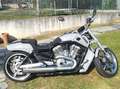Harley-Davidson V-Rod V rod muscle Grau - thumbnail 1