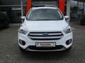 Ford Kuga Kuga 1.5 TITANIUM Weiß - thumbnail 2