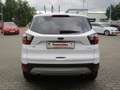Ford Kuga Kuga 1.5 TITANIUM Weiß - thumbnail 5