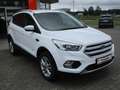 Ford Kuga Kuga 1.5 TITANIUM Weiß - thumbnail 3