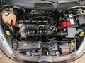 Ford Fiesta Trend 5-Türen Brown - thumbnail 13